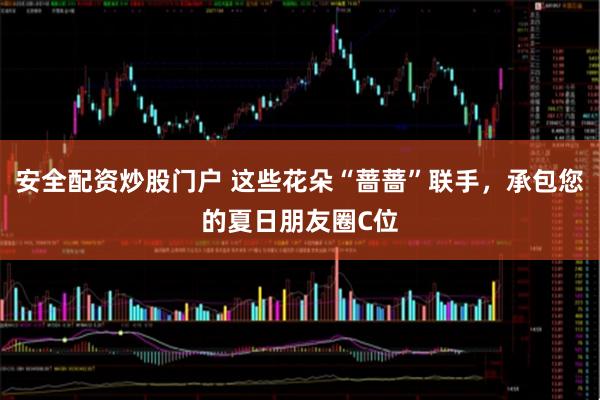 安全配资炒股门户 这些花朵“蔷蔷”联手，承包您的夏日朋友圈C位