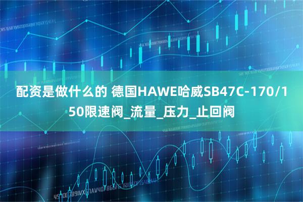 配资是做什么的 德国HAWE哈威SB47C-170/150限速阀_流量_压力_止回阀